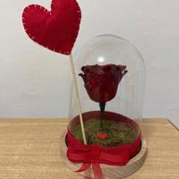 Vera rosa rossa stabilizzata, romantico, eterna