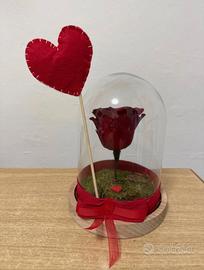 Vera rosa rossa stabilizzata, romantico, eterna