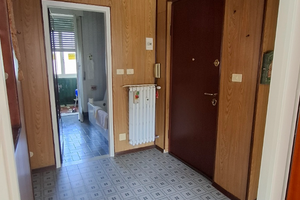 Luminoso appartamento abitabile viale risorgimento