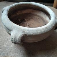 sotto pianta