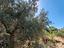 Immagine 14