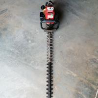 Tagliasiepe professionale