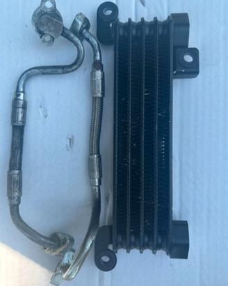 radiatore olio triumph speed triple triple 1050