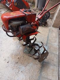 Motozappa Brumi 7cv