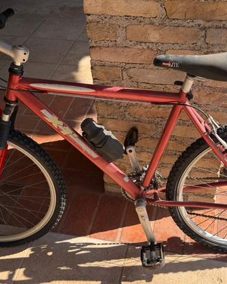 Bicicletta da sistemare