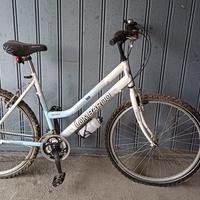 biciclette (Lombardo + Montana)