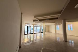 NEGOZIO A CARPENEDOLO