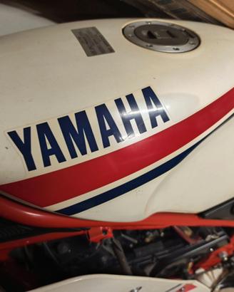 Rd350
