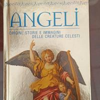 libro ANGELI 