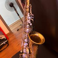 Grassi professional 2000