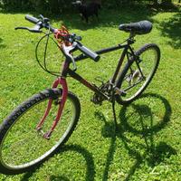 Bicicletta Bianchi mountain bike ragazzo / uomo