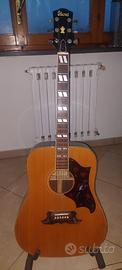 Chitarra acustica Ibanez