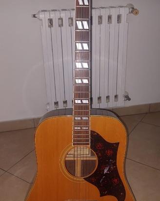 Chitarra acustica Ibanez