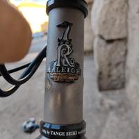 MTB Raleigh titanio