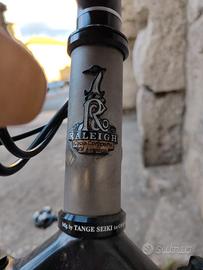MTB Raleigh titanio