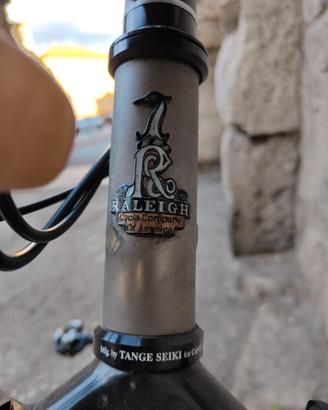 MTB Raleigh titanio