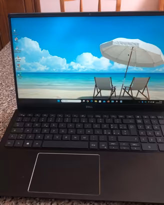 Portatile Dell Vostro 5501 i5-1035G1  ram 16gb ssd