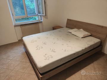 Camera in quartiere universitario