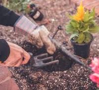 G i a r d i n i e r e