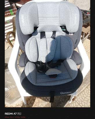 seggiolone d'auto 