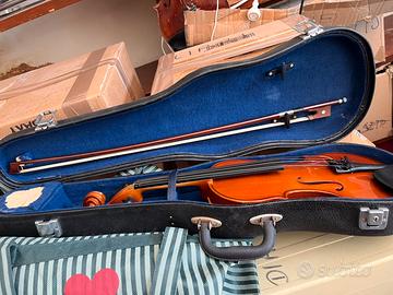 Violino