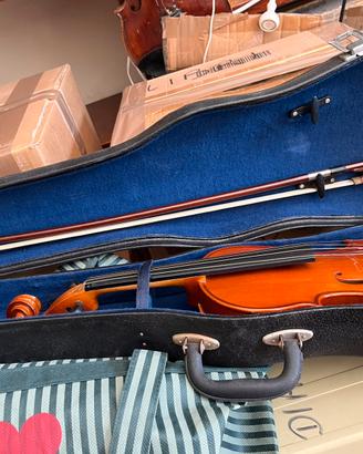 Violino