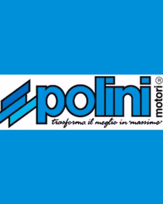 Kit polini minarelli verticale