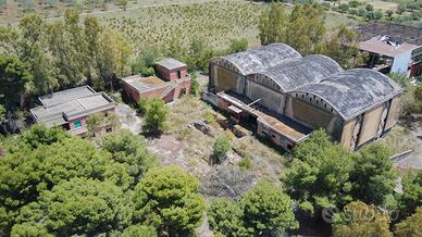 Stabilimento enologico
