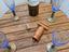 Immagine 5