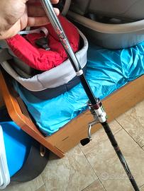 Bolognese Yuki 5m