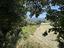 Immagine 30