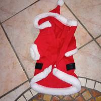 Vestitino per cani di babbo natale