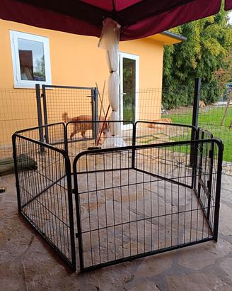 recinto componibile per cani e cuccioli 
