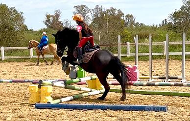 Pony salto ostacoli e scuola