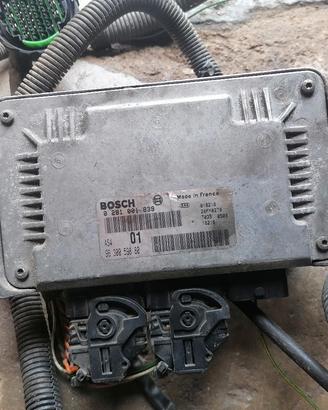 Centralina Citroen saxo