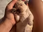 Immagine 6