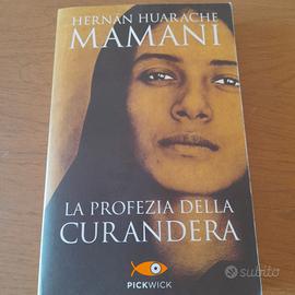 LA PROFEZIA DELLA CURANDERA