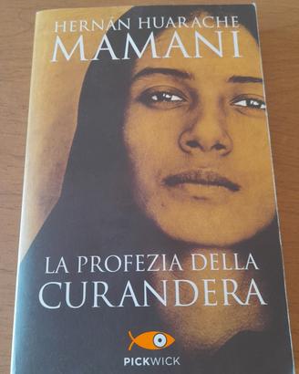 LA PROFEZIA DELLA CURANDERA
