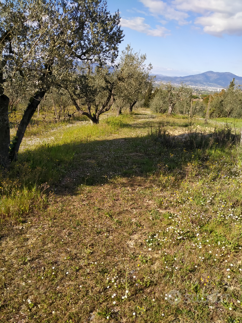 Terreno agricolo - Vista 4