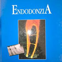 endodonzia castellucci 