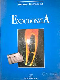 endodonzia castellucci 