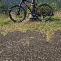 MTB WILIER TRIESTINA 101X CARBONIO TAGLIA L
