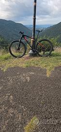 MTB WILIER TRIESTINA 101X CARBONIO TAGLIA L
