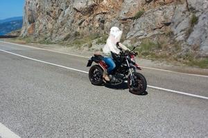 Ducati Hypermotard 796 - 2010