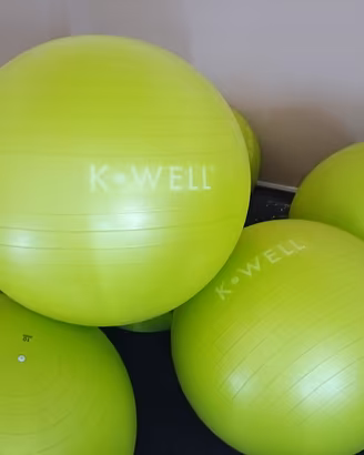 15 pz FIT BALL GYM BALL KWELL