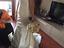 Immagine 2