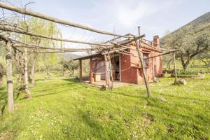 CASA INDIPENDENTE A PALOMBARA SABINA