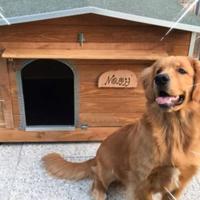 cucce/casette x animali