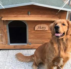 cucce/casette x animali