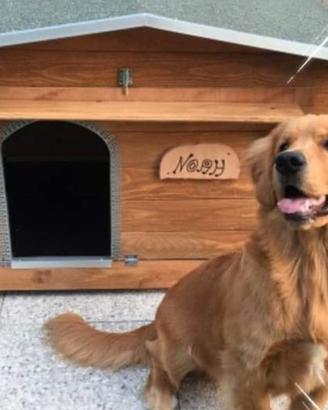 cucce/casette x animali